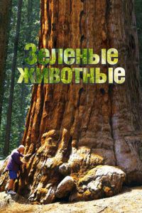 смотреть Зелёные животные (сериал) онлайн