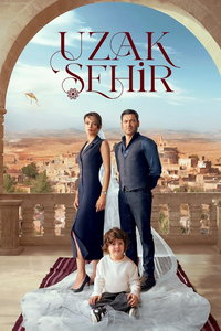 Далёкий город (сериал)